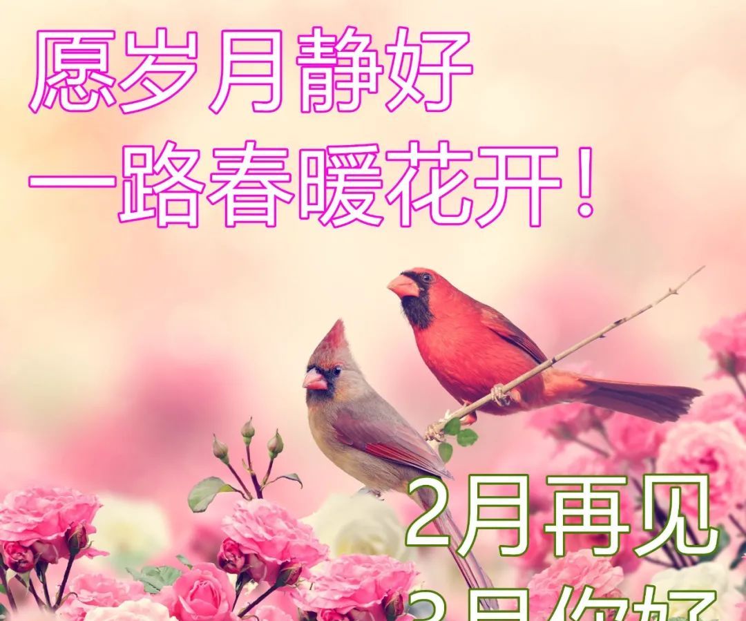 三月你好早安问候语图片适合发朋友圈的三月早安祝福语