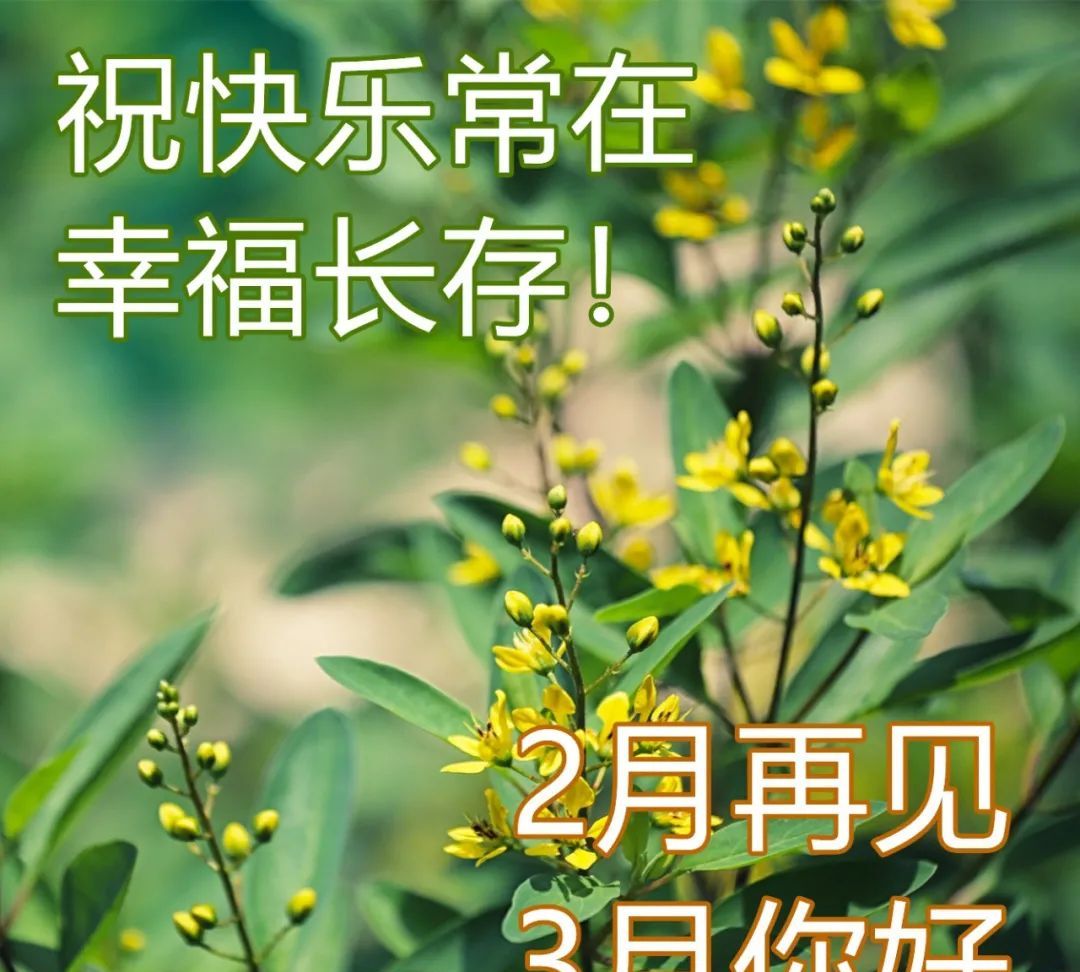 三月你好早安问候语图片适合发朋友圈的三月早安祝福语