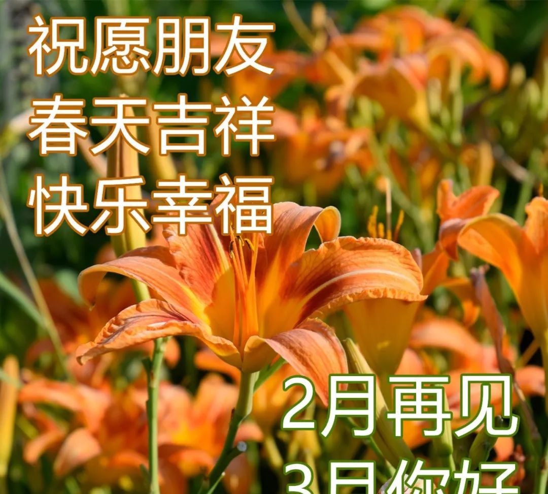 三月你好早安问候语图片适合发朋友圈的三月早安祝福语