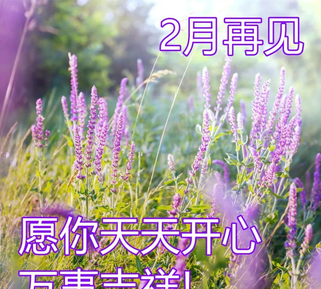 三月你好早安问候语图片适合发朋友圈的三月早安祝福语