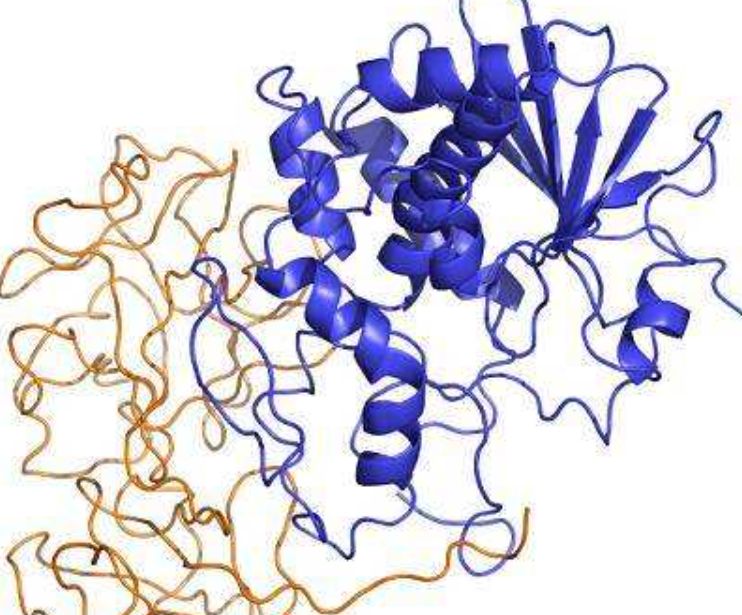蓖麻在我国农村很常见,为何会被美国列为国家机密和战略物资?休闲区蓝鸢梦想 - Www.slyday.coM 蓖麻在我国农村很常见,为何会被美国列为国家机密和战略物资?休闲区蓝鸢梦想 - Www.slyday.coM