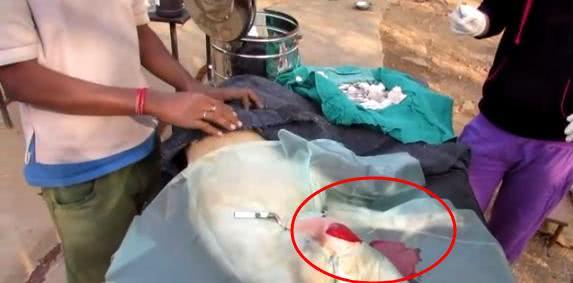 狗狗无聊逗弄小蜜蜂,被蛰的满脸是包,回家时成这副摸样!休闲区蓝鸢梦想 - Www.slyday.coM 狗狗无聊逗弄小蜜蜂,被蛰的满脸是包,回家时成这副摸样!休闲区蓝鸢梦想 - Www.slyday.coM