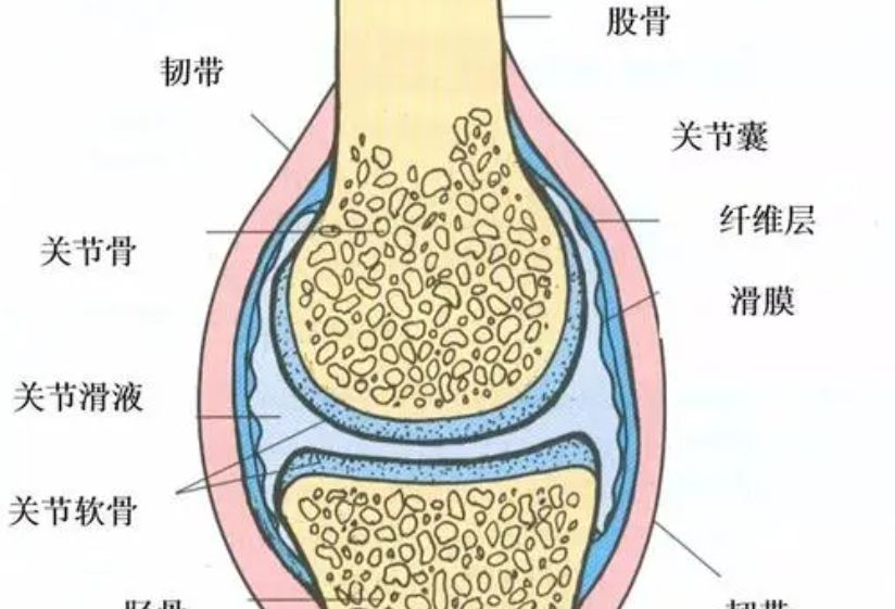 蓖麻在我国农村很常见,为何会被美国列为国家机密和战略物资?休闲区蓝鸢梦想 - Www.slyday.coM 蓖麻在我国农村很常见,为何会被美国列为国家机密和战略物资?休闲区蓝鸢梦想 - Www.slyday.coM