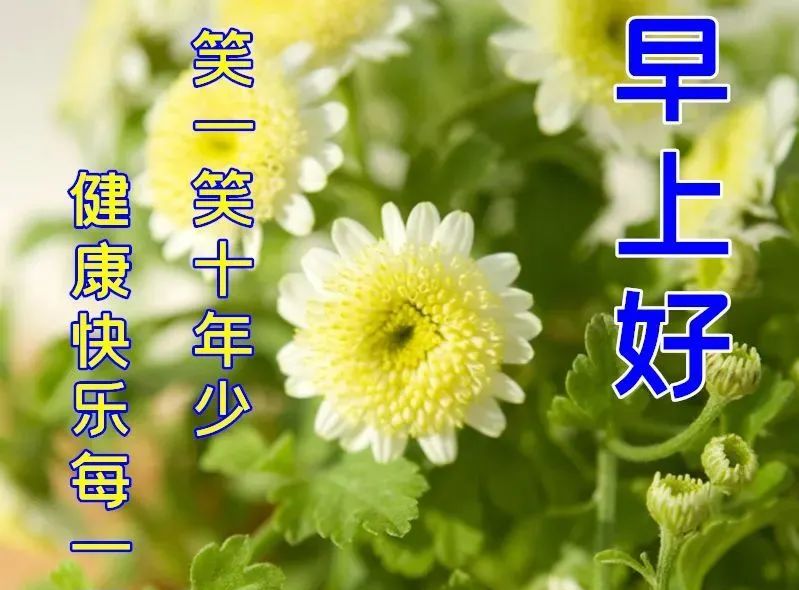 春日清晨漂亮早晨好问候动态表情图片春天早上好说说温馨图片