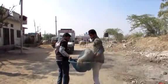 狗狗无聊逗弄小蜜蜂,被蛰的满脸是包,回家时成这副摸样!休闲区蓝鸢梦想 - Www.slyday.coM 狗狗无聊逗弄小蜜蜂,被蛰的满脸是包,回家时成这副摸样!休闲区蓝鸢梦想 - Www.slyday.coM