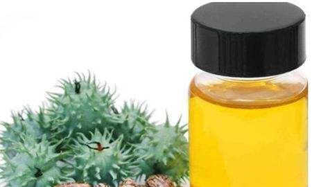 蓖麻在我国农村很常见,为何会被美国列为国家机密和战略物资?休闲区蓝鸢梦想 - Www.slyday.coM 蓖麻在我国农村很常见,为何会被美国列为国家机密和战略物资?休闲区蓝鸢梦想 - Www.slyday.coM