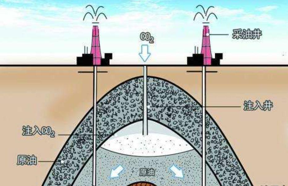 蓖麻在我国农村很常见,为何会被美国列为国家机密和战略物资?休闲区蓝鸢梦想 - Www.slyday.coM 蓖麻在我国农村很常见,为何会被美国列为国家机密和战略物资?休闲区蓝鸢梦想 - Www.slyday.coM