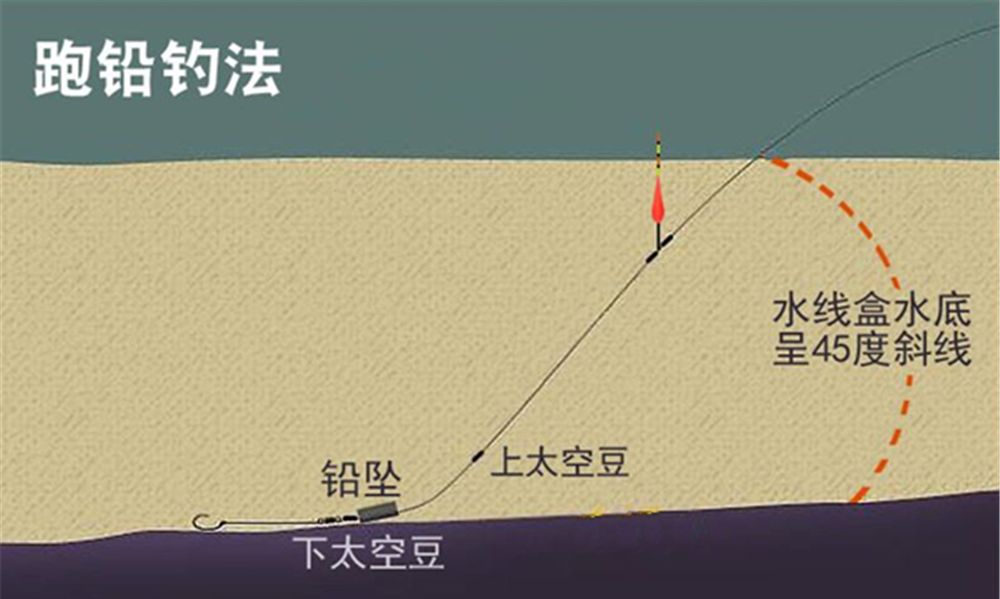 青鱼|黑坑|手竿_新浪新闻