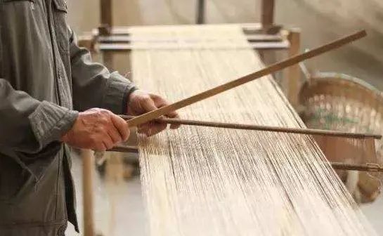 有“中国草”之称,是世界上纤维品质最好的植物,苎麻是啥麻?休闲区蓝鸢梦想 - Www.slyday.coM 有“中国草”之称,是世界上纤维品质最好的植物,苎麻是啥麻?休闲区蓝鸢梦想 - Www.slyday.coM