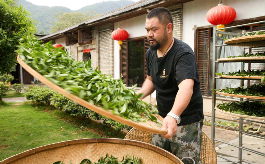 岩茶新势力·武夷琅琊榜 | (送茶)范辉:我追随父亲成为师父__财经头条