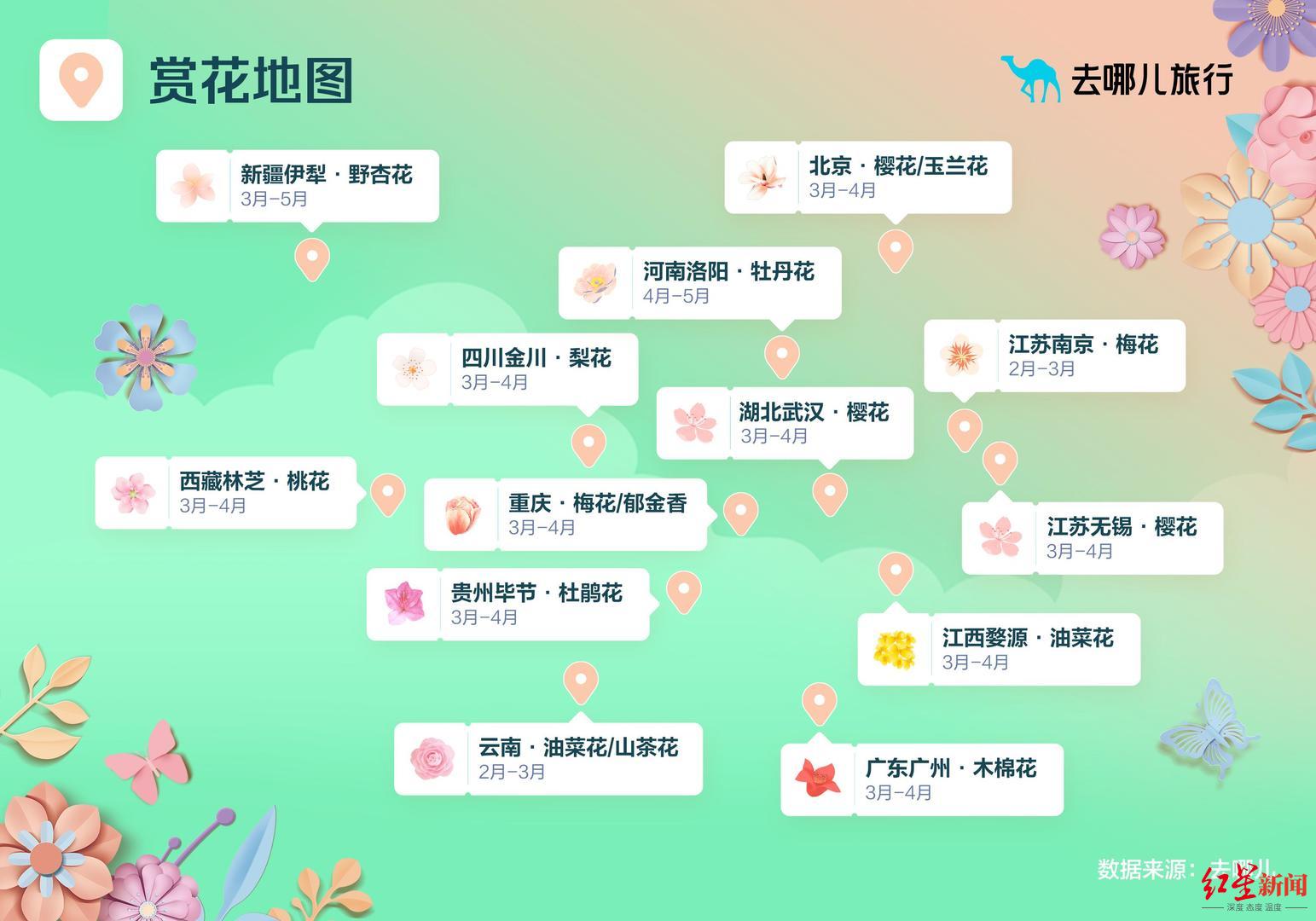 春来赏花热近一周赏花游同比2021年增15倍