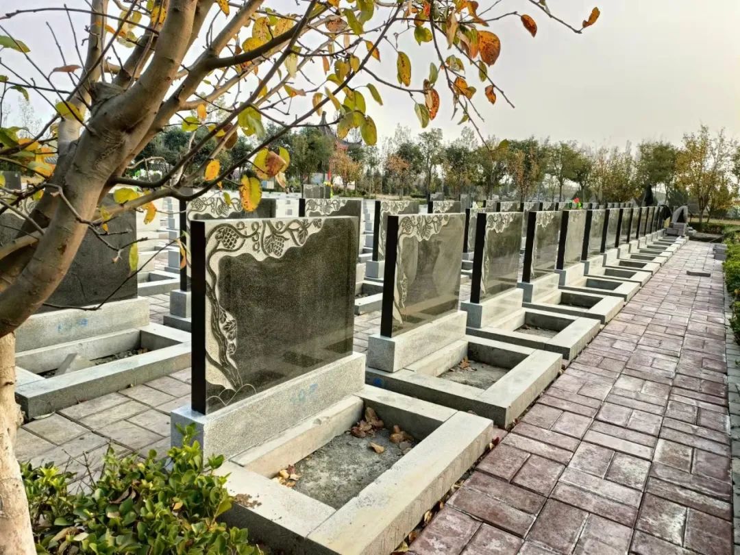 紫山公墓为逝者扩居让祭祀者从容使生命后花园更加关爱生命