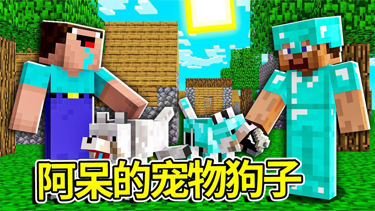 我的世界:阿呆为了和史蒂夫一样每天有狗子陪伴居然大闹宠物收留
