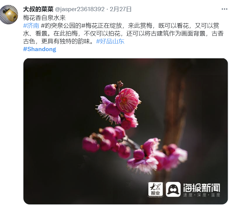 “山东”登上推特热搜榜，大天鹅、大煎饼、小豆包向海外展现魅力休闲区蓝鸢梦想 - Www.slyday.coM