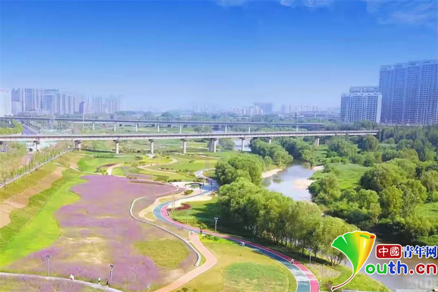 蓝图已经绘就 未来五年西安市灞桥区这么干_新浪新闻