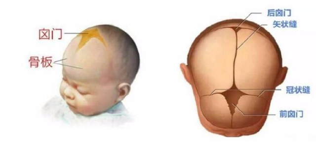宝宝额头中间凸起图片图片