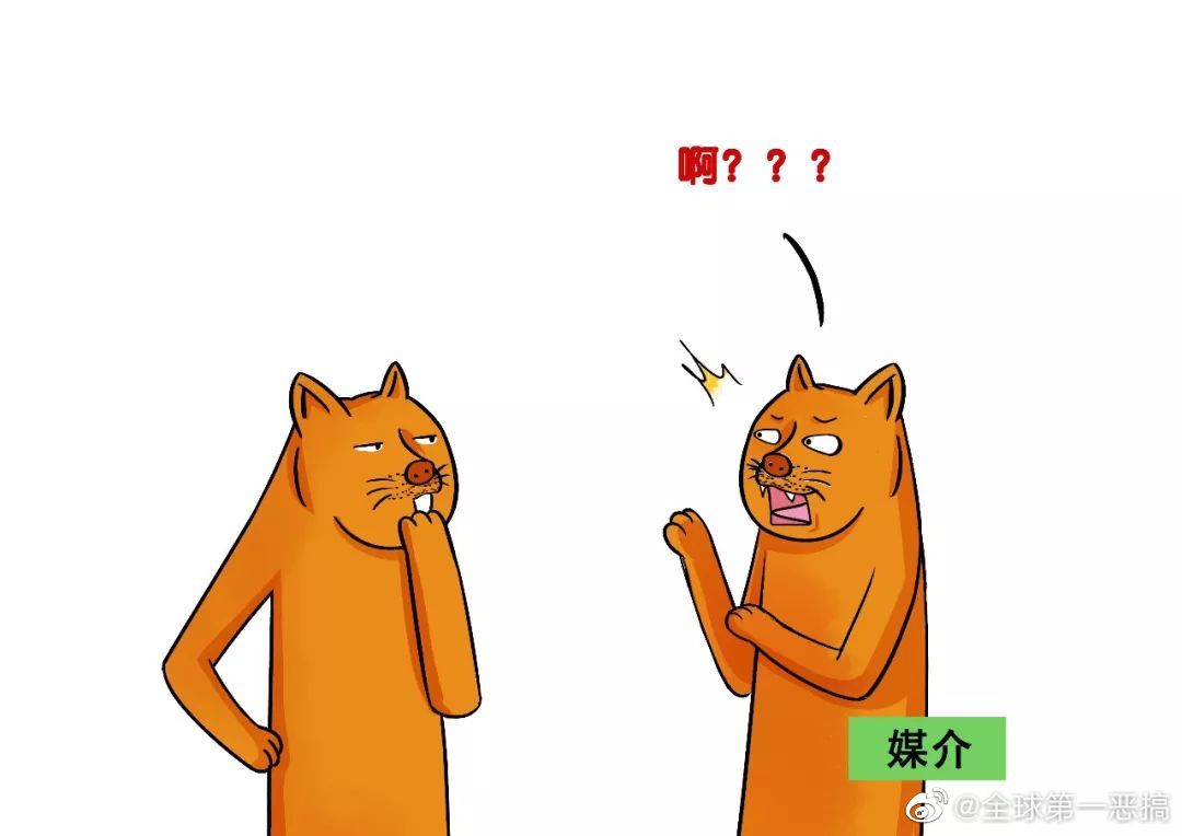 真的是两头受气哈哈哈哈做媒介真的是太难了