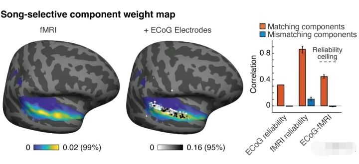 原来“音乐细胞”真的存在!科学家发现歌唱神经元,只对唱歌敏感休闲区蓝鸢梦想 - Www.slyday.coM 原来“音乐细胞”真的存在!科学家发现歌唱神经元,只对唱歌敏感休闲区蓝鸢梦想 - Www.slyday.coM