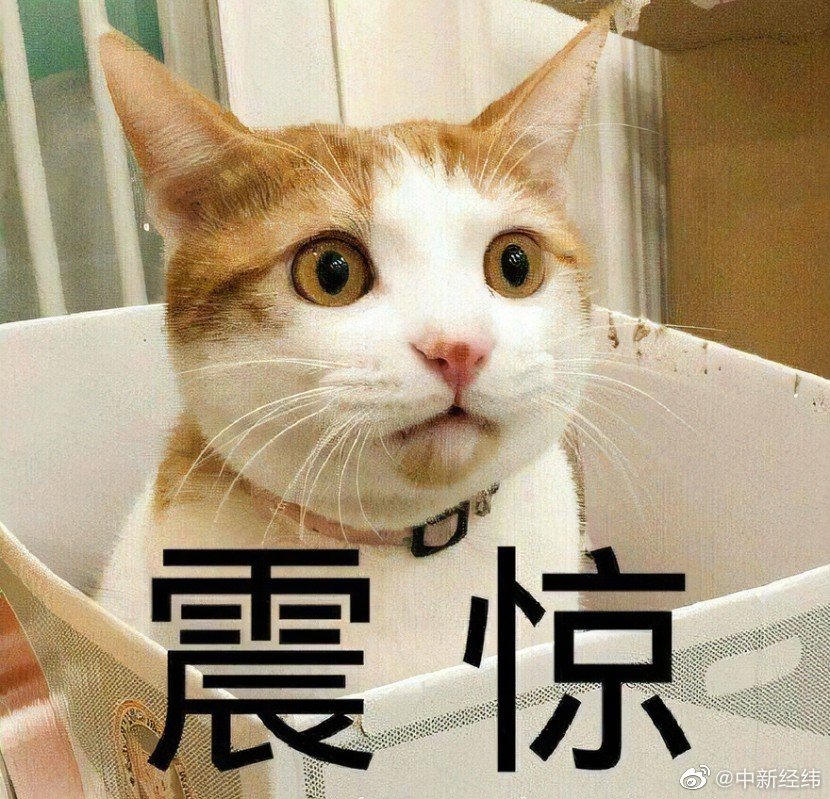 西方制裁再加码！俄罗斯的猫遭制裁休闲区蓝鸢梦想 - Www.slyday.coM