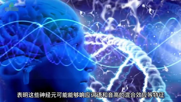 原来“音乐细胞”真的存在!科学家发现歌唱神经元,只对唱歌敏感休闲区蓝鸢梦想 - Www.slyday.coM 原来“音乐细胞”真的存在!科学家发现歌唱神经元,只对唱歌敏感休闲区蓝鸢梦想 - Www.slyday.coM