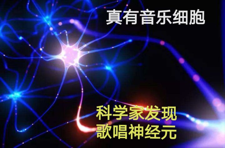 原来“音乐细胞”真的存在!科学家发现歌唱神经元,只对唱歌敏感休闲区蓝鸢梦想 - Www.slyday.coM 原来“音乐细胞”真的存在!科学家发现歌唱神经元,只对唱歌敏感休闲区蓝鸢梦想 - Www.slyday.coM