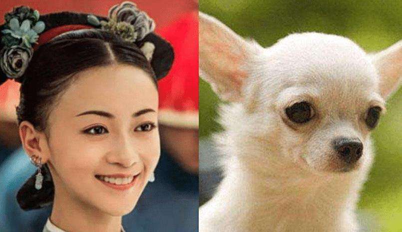 你没看过的吴谨言古装明明像洋娃娃怎么就变成吉娃娃了