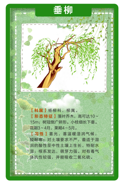 每天1万步解锁植被小百科