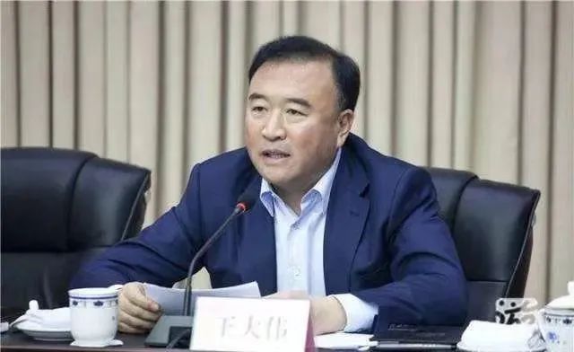 辽宁省副省长王大伟被查 王大伟简历最新消息休闲区蓝鸢梦想 - Www.slyday.coM