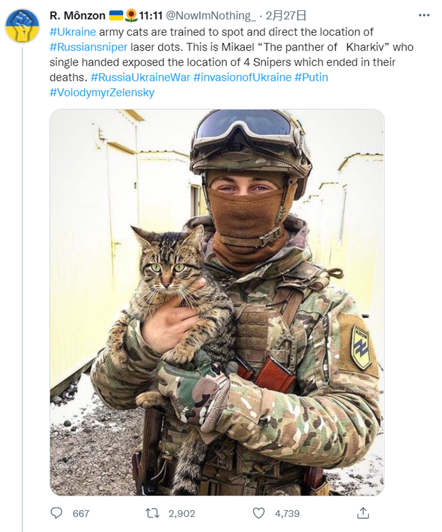 明查:乌军猫“哈尔科夫之豹”暴露4名俄狙击手行踪？