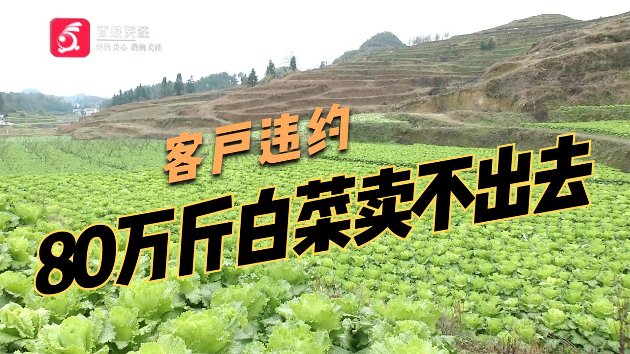 期货点价是什么意思? 期货点价是什么意思?