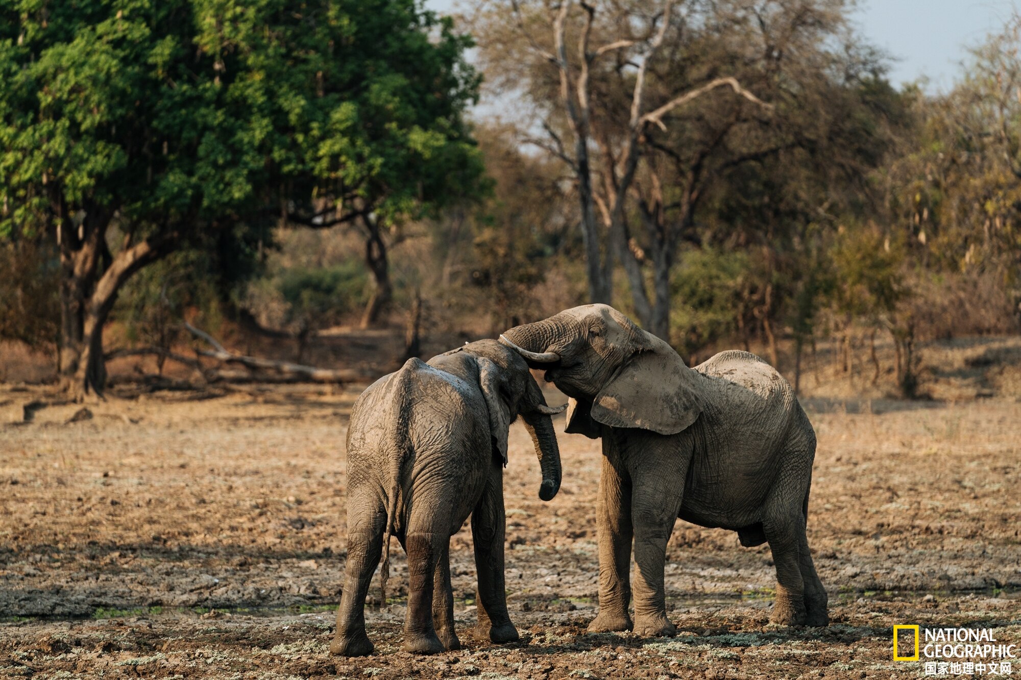摄影:robert harding picture library, nat geo image collection