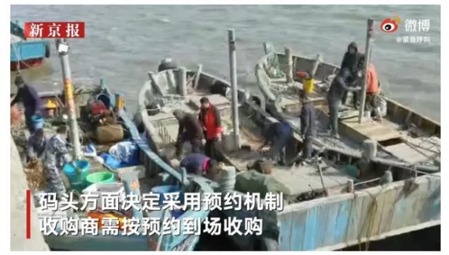 “海底蝗虫”又来了！海星“大举入侵”青岛胶州湾：已泛滥成灾？休闲区蓝鸢梦想 - Www.slyday.coM