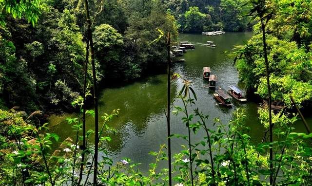 森林漫步石象湖位于成都市蒲江县,是国家级生态示范区.