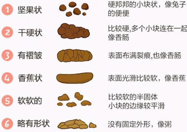 大便有这3种形状多吃蔬果也没用