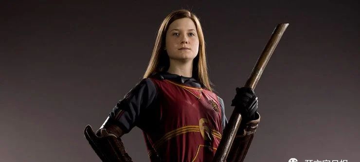 harry potter series focused almost entirely on the golden trio