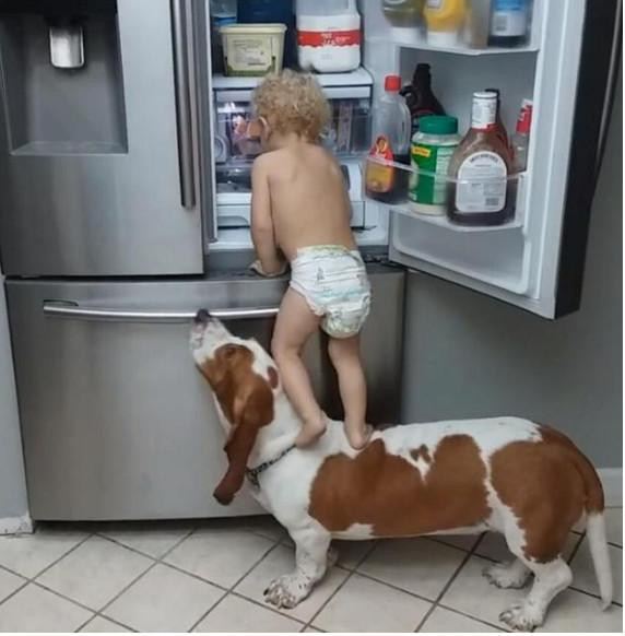 狗狗陪小主人去偷零食，一看情况不对拔腿就跑，小主人就悲剧了！休闲区蓝鸢梦想 - Www.slyday.coM