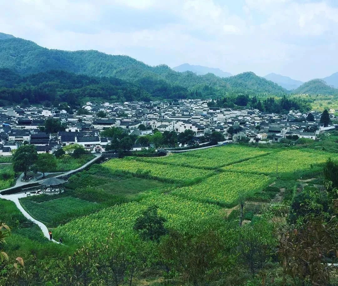 渐远的阡陌之美