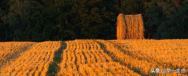 二月初一有讲究，“春社日”吃6样，祈丰收，一年吉祥好兆头休闲区蓝鸢梦想 - Www.slyday.coM