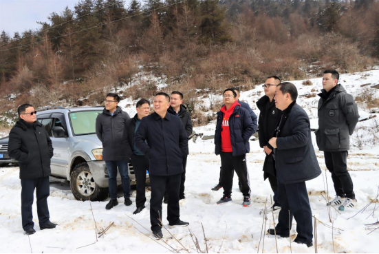 恩施市文旅局,自然资源规划局,板桥镇,大峡谷风景区管理处,恩施城投