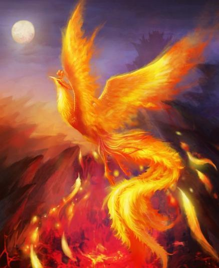 青未了凤凰涅盘