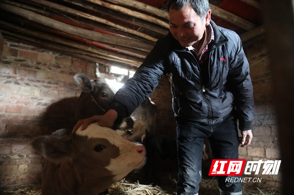 不过这牛生双胞胎,赵石平也是生平第一次碰到.