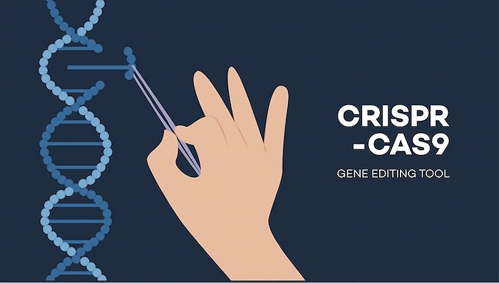 科学家张锋团队拥有在真核细胞中使用crispr-cas9(基因剪刀)的专利,为