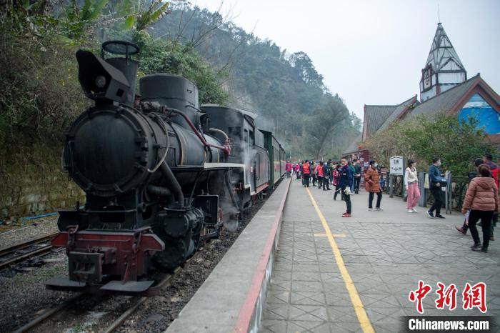 四川犍为上千亩油菜花盛开蒸汽小火车迎客忙