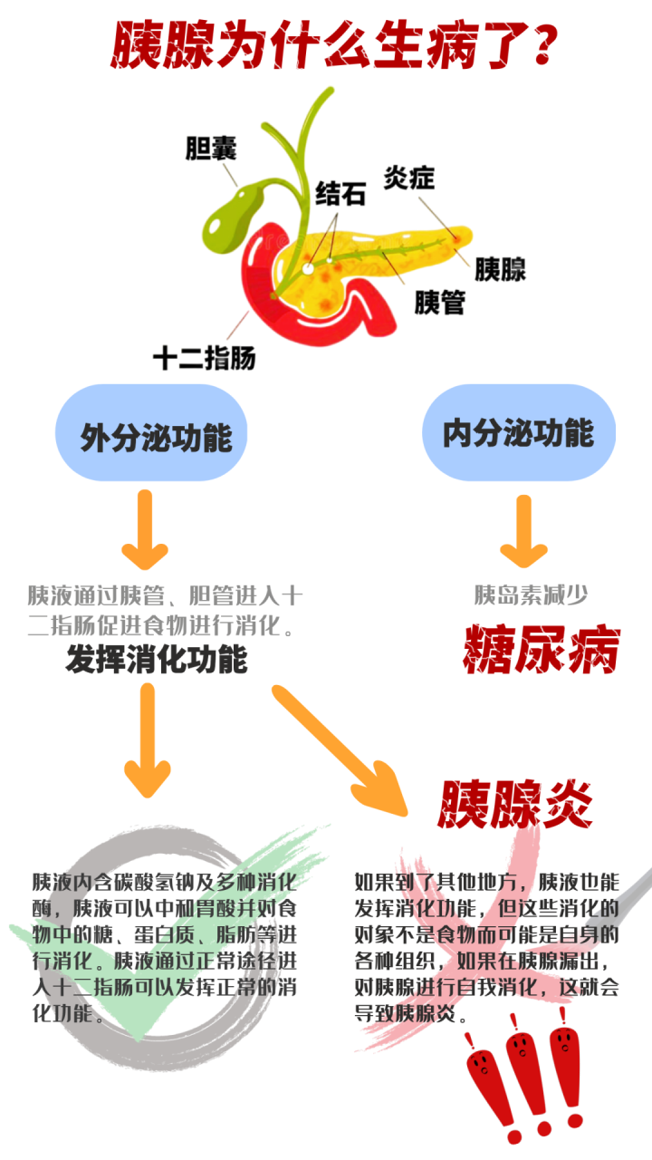 27岁网红被曝去世为何急性胰腺炎竟如此厉害