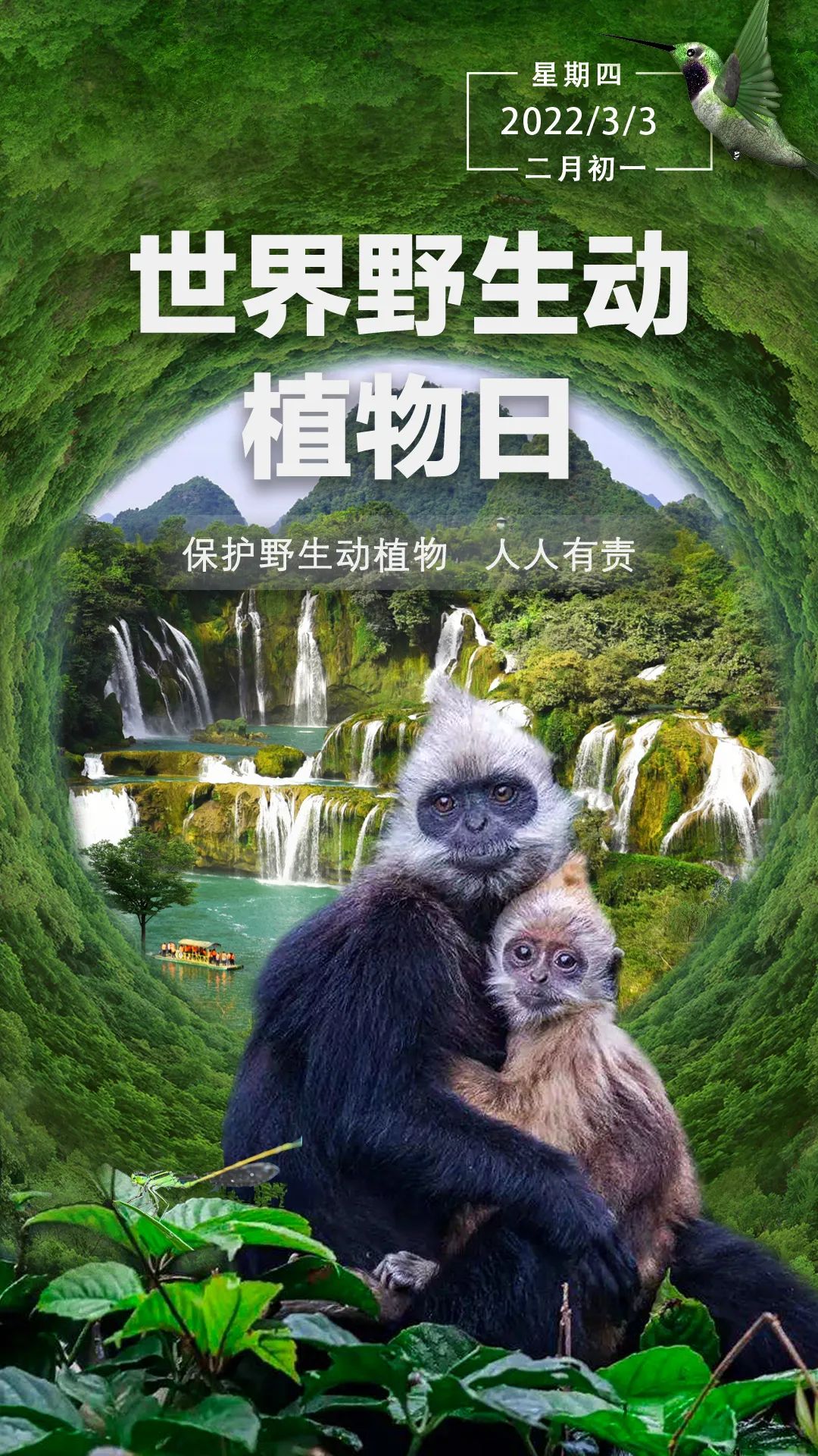 世界野生动植物日请善待它们保护好我们身边的小伙伴