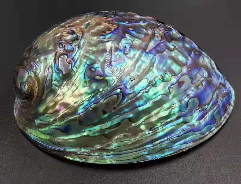 中国科学家提出增强仿生陶瓷韧性的新方法休闲区蓝鸢梦想 - Www.slyday.coM