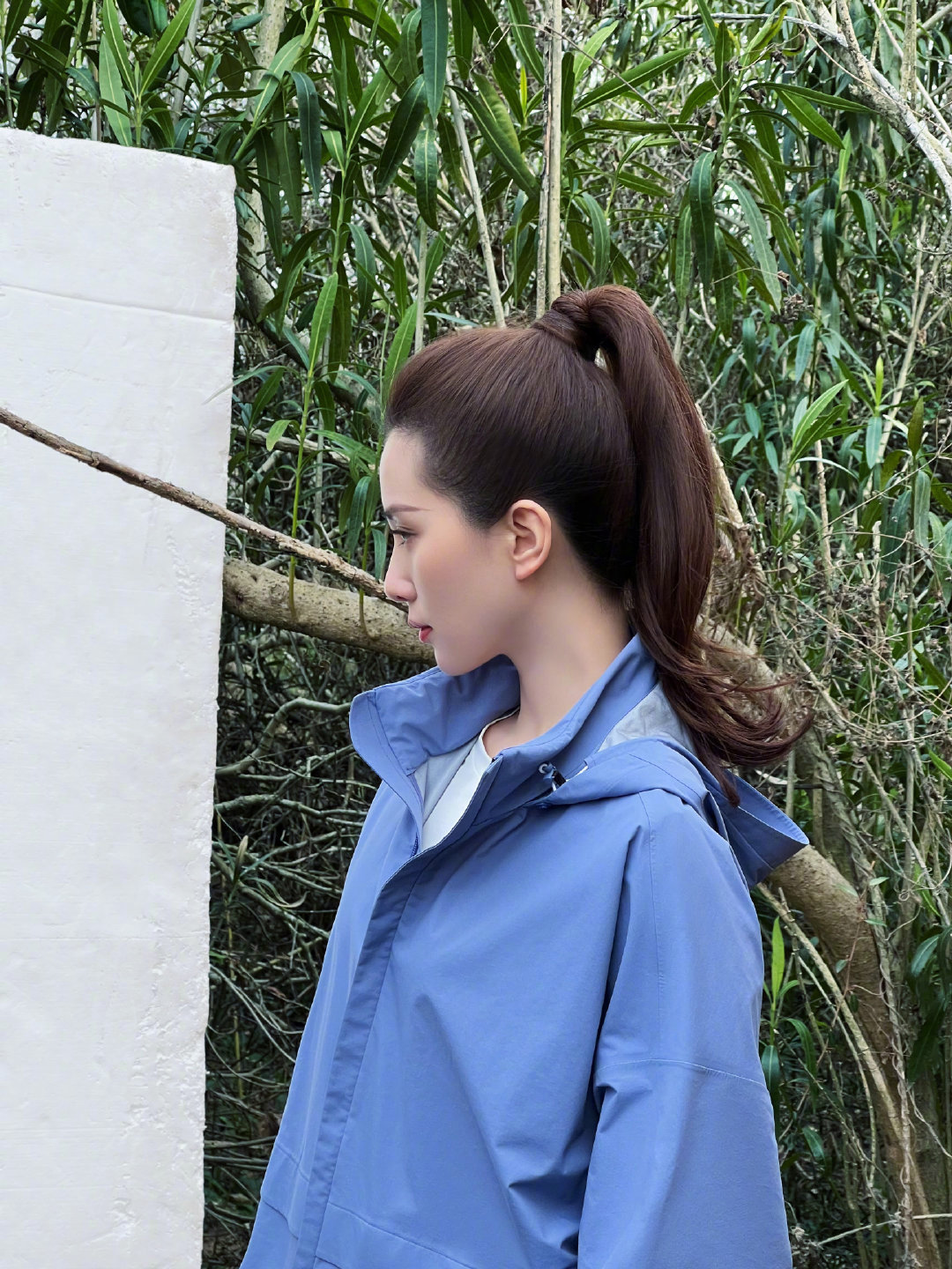 刘诗诗侧颜高马尾好优越