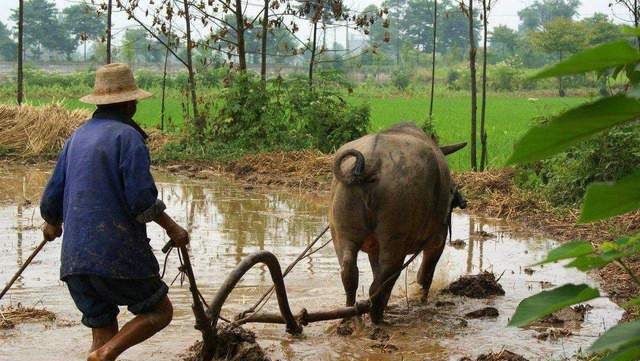 二月二龙抬头,记住“3要、3不要”,传统不能忘休闲区蓝鸢梦想 - Www.slyday.coM 二月二龙抬头,记住“3要、3不要”,传统不能忘休闲区蓝鸢梦想 - Www.slyday.coM