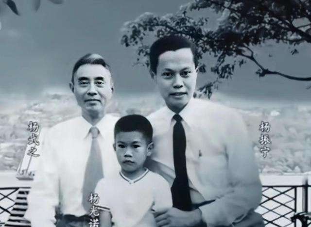 杨武之:有颜有才的数学家,与文化不高的妻子共同培养儿子杨振宁|数学家|杨武之|罗孟华_新浪新闻
