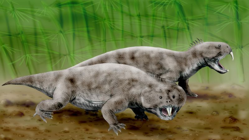 三叠纪动荡的纪元在灭绝中寻找出路